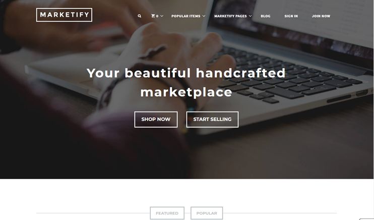 ecommerce wordpress theme