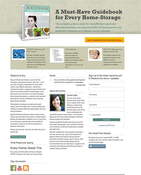 Automobile WordPress themes
