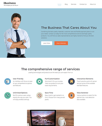 iBusiness Theme