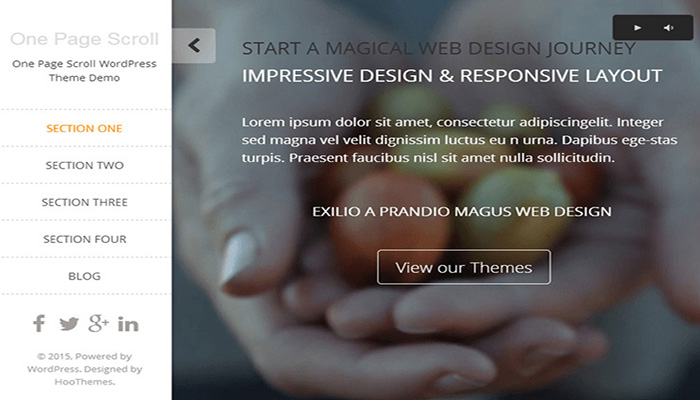 One Page Scroll Theme
