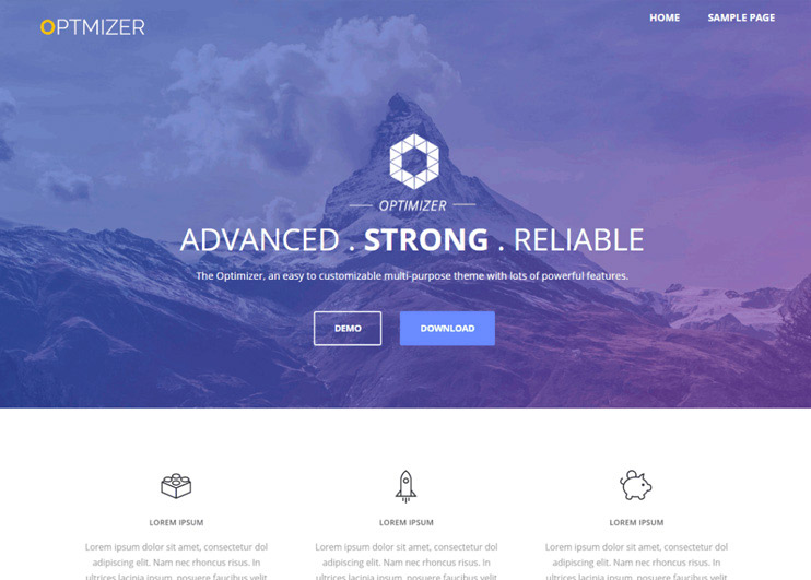 Optimizer WP Theme