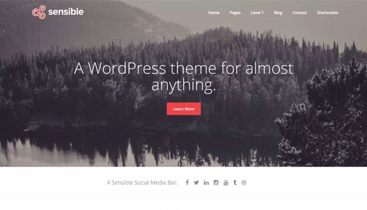 Sensible WordPress Theme