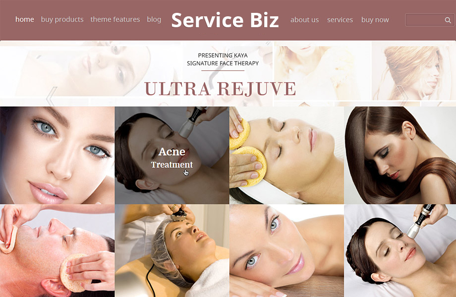 service-biz Theme