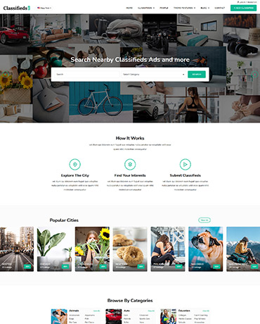 classifieds WordPress Theme