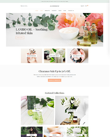 eCommerce theme homepage design version 1
