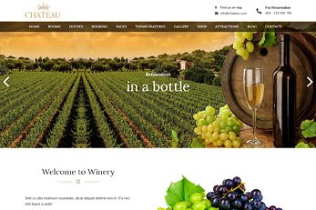 Chateau WordPress Booking Theme