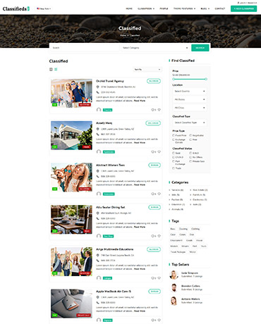 WordPress Classifieds Theme