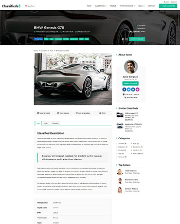 Classifieds WordPress Template