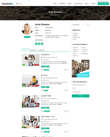 WordPress classifieds Theme