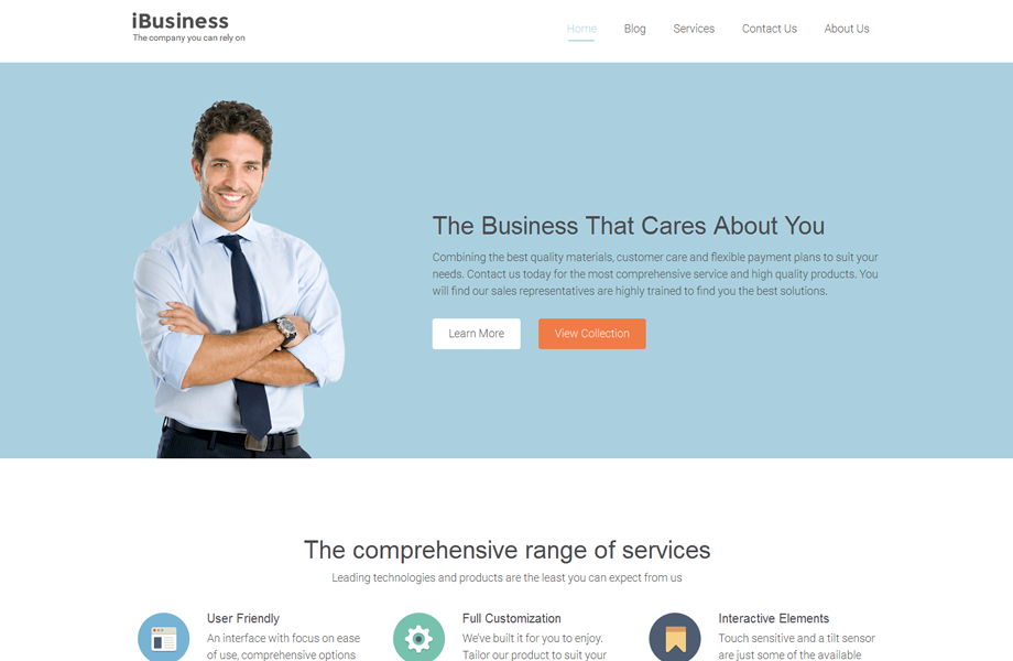 iBusiness Theme