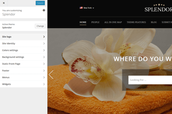 WordPress splendor Theme